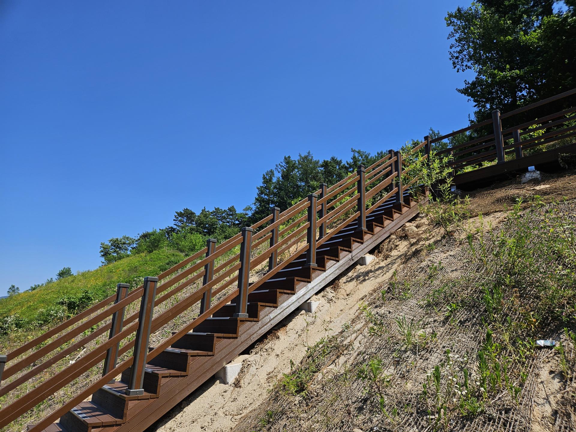 82011be7e7a4d.jpg