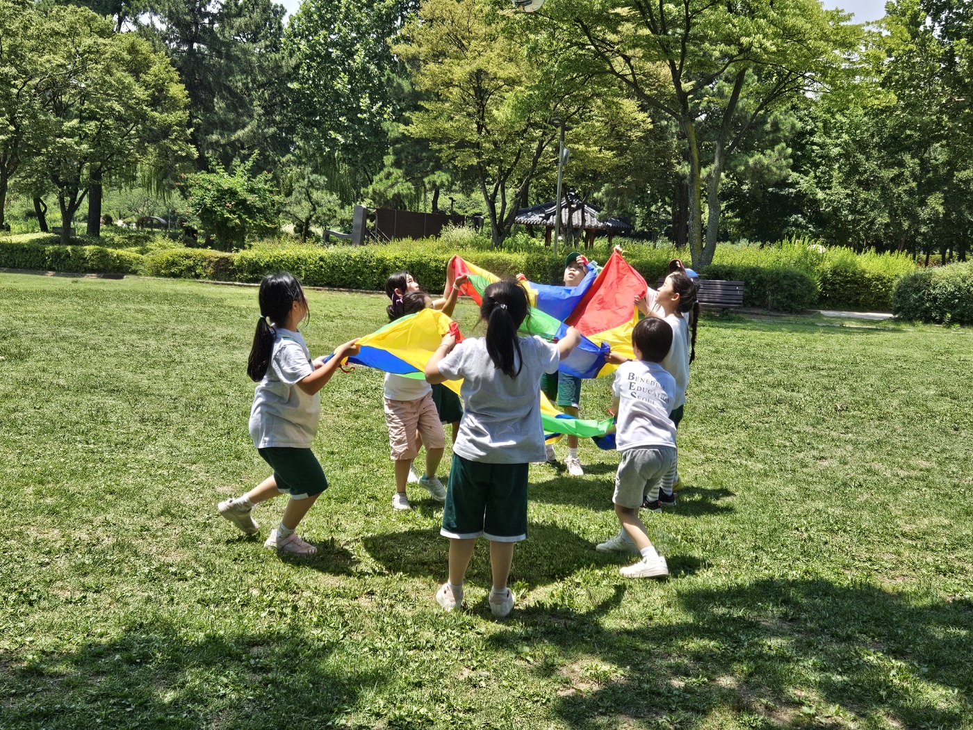 8d136c070b367.jpg