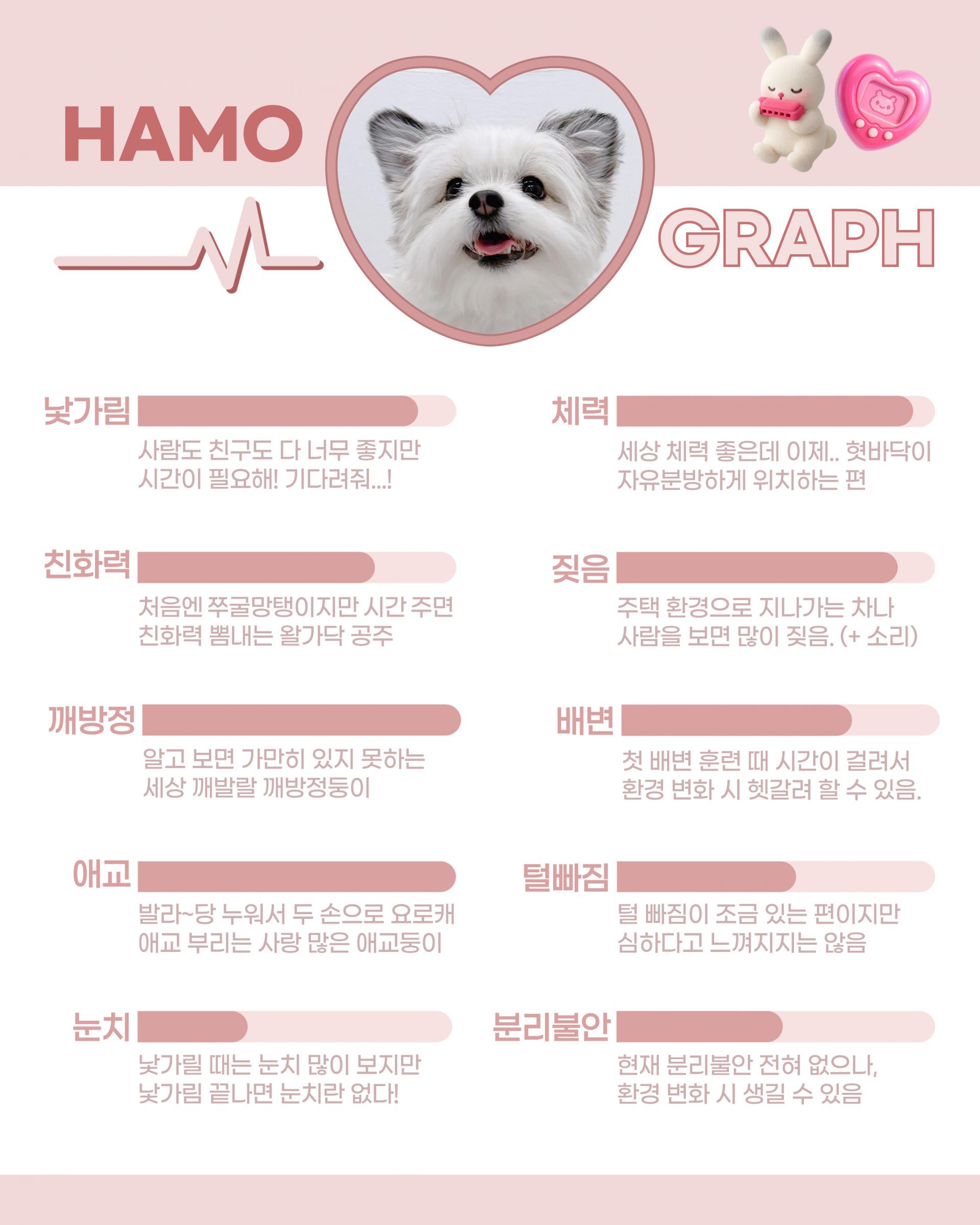 하모 기본 프로필 : Bogoland
