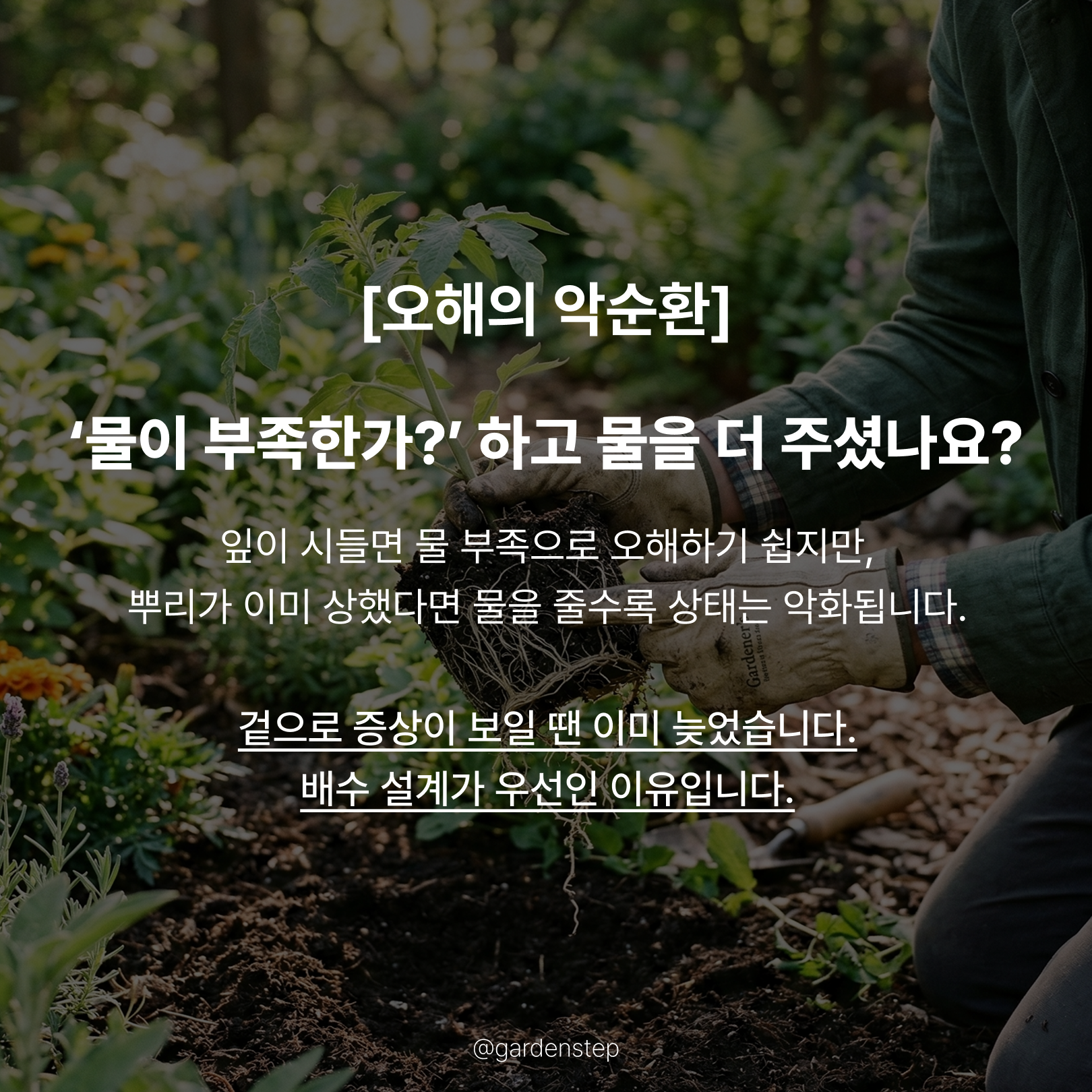 03.정원배수 성공의 법칙b_4.png