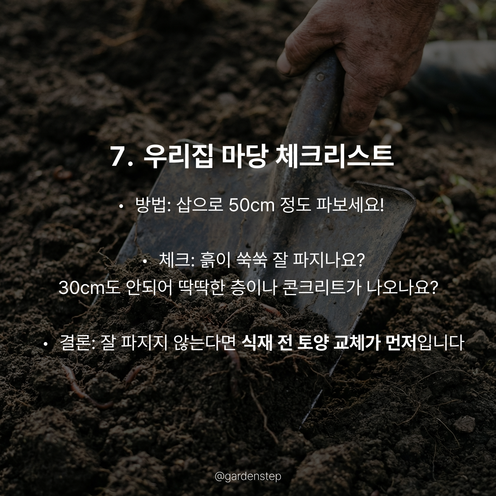 20424081d78cc.png