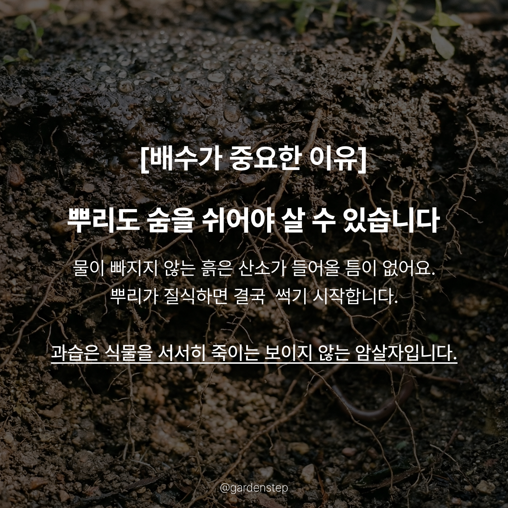 03.정원배수 성공의 법칙b_3.png