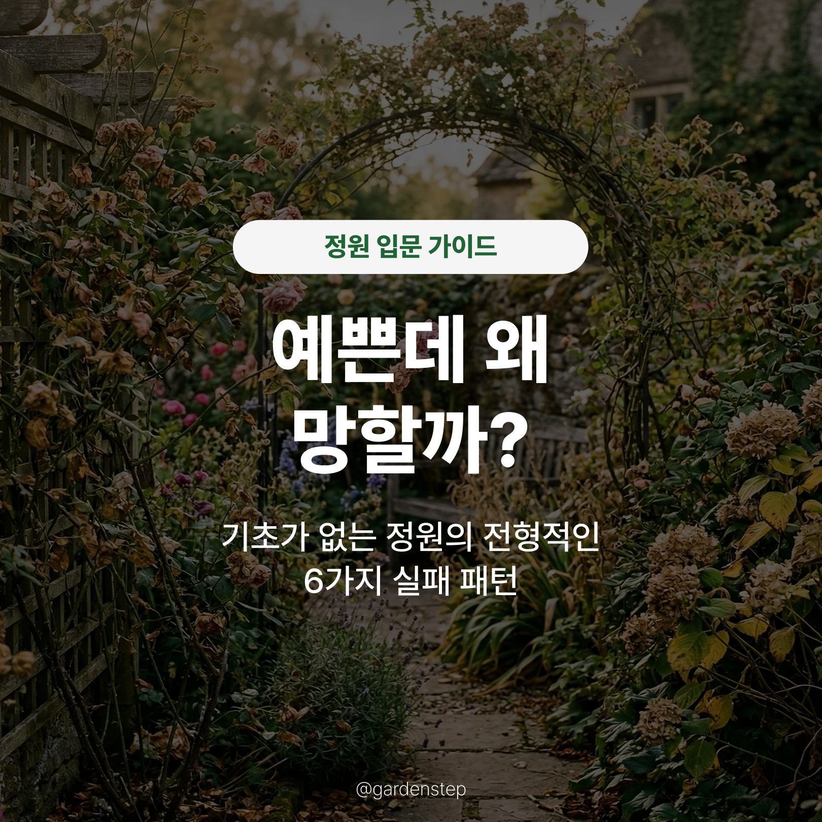 04.기초가 없는 정원의 실패 패턴b1.png