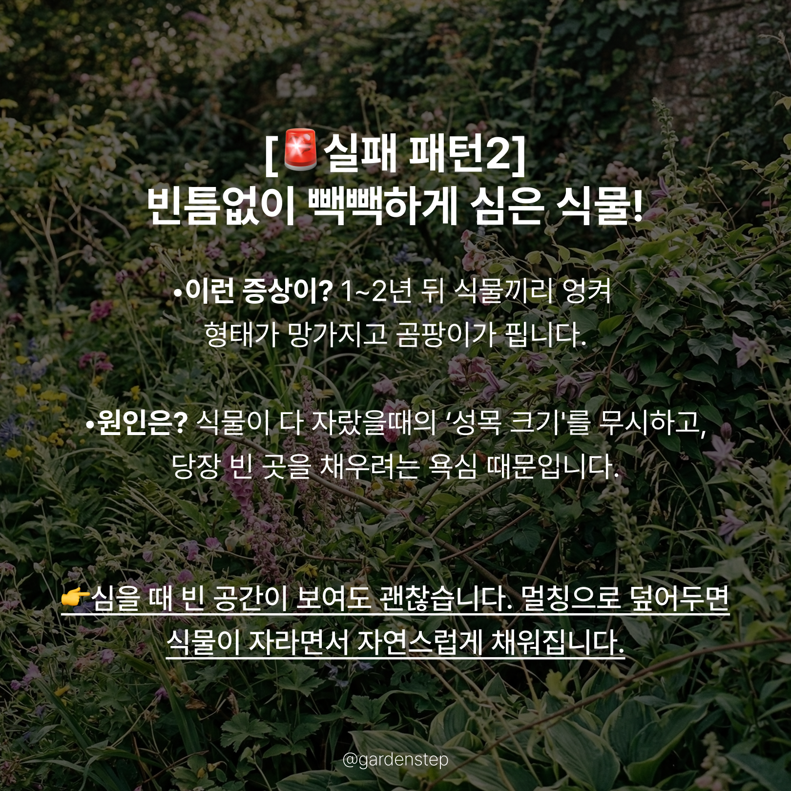 04.기초가 없는 정원의 실패 패턴b4.png