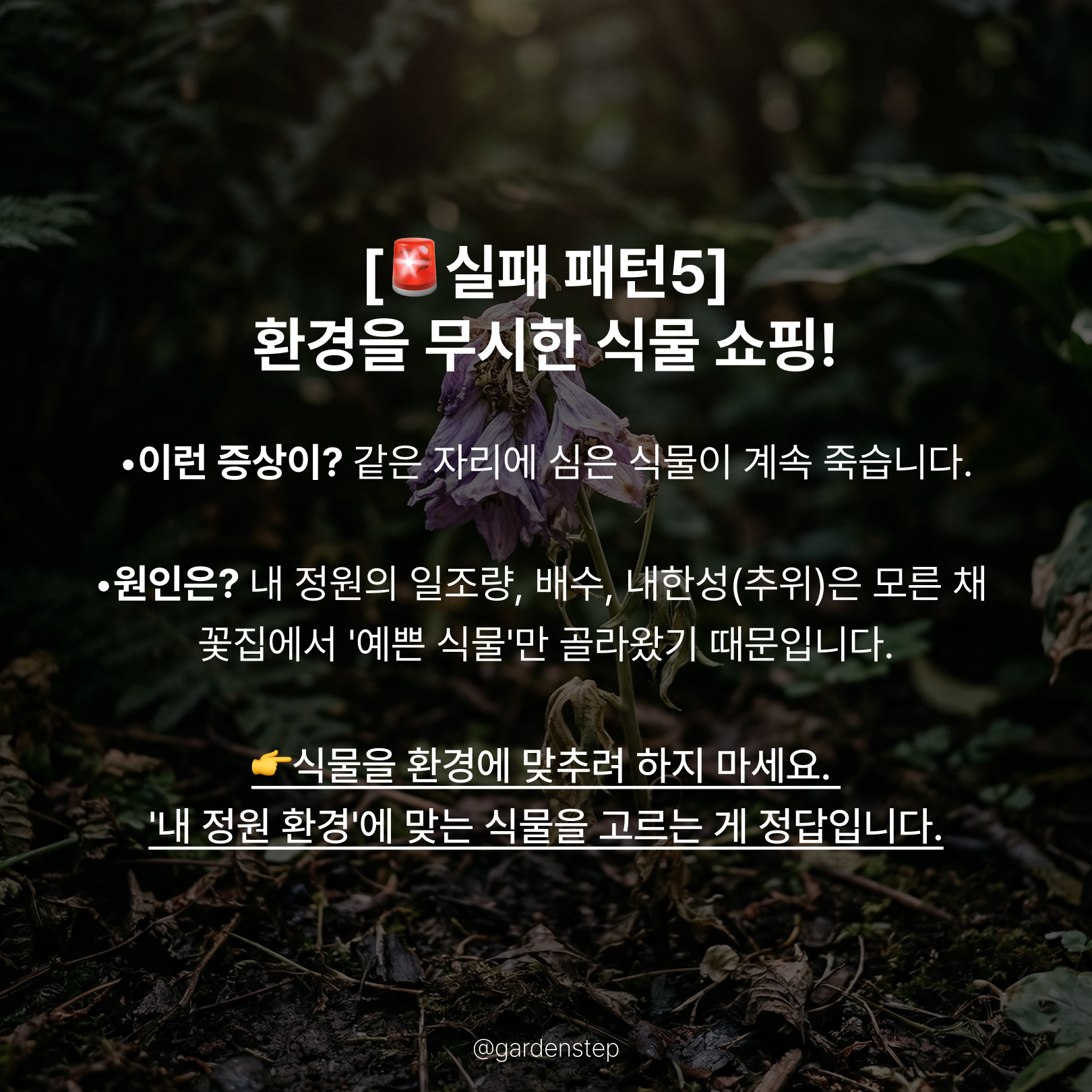 04.기초가 없는 정원의 실패 패턴b7.png