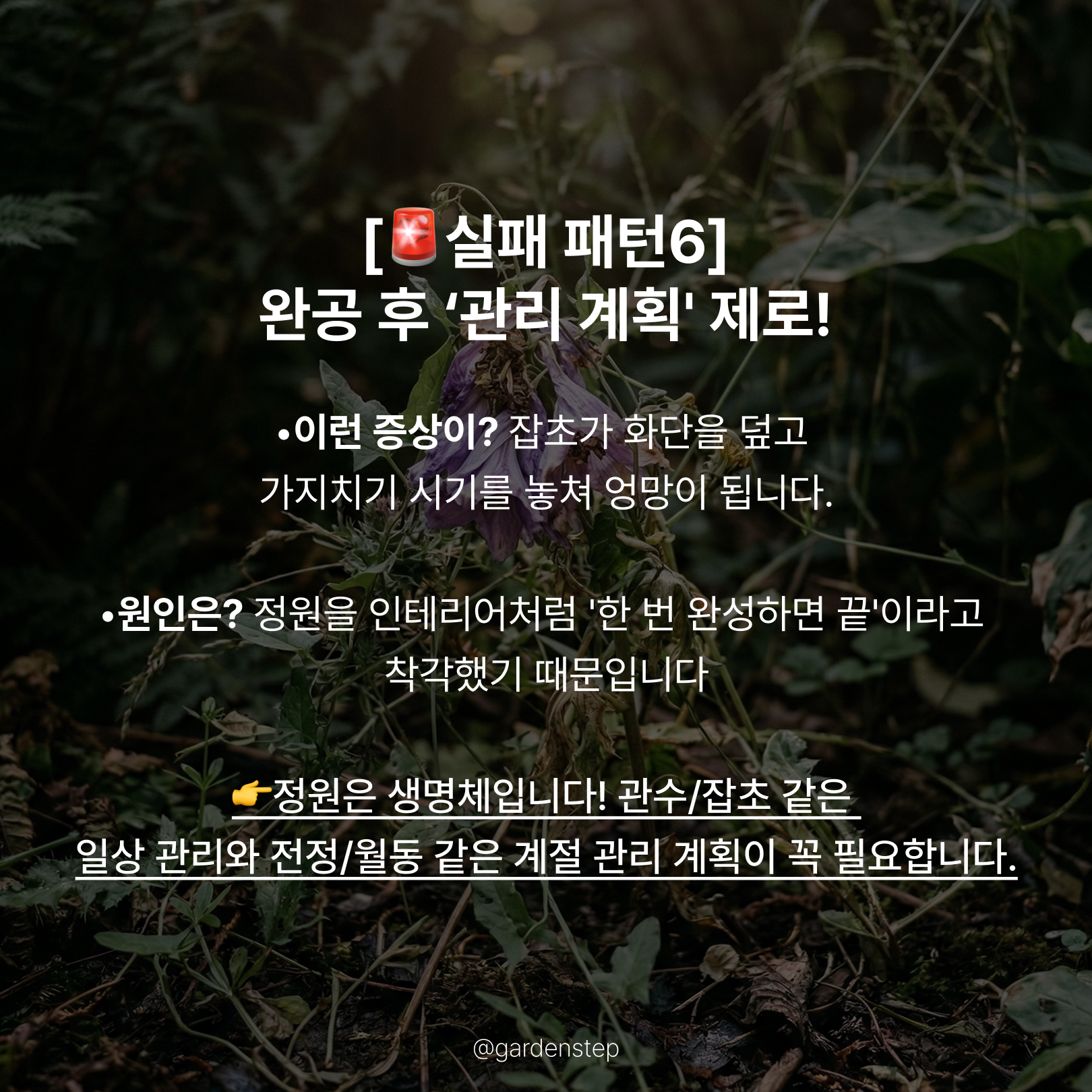 04.기초가 없는 정원의 실패 패턴b8.png