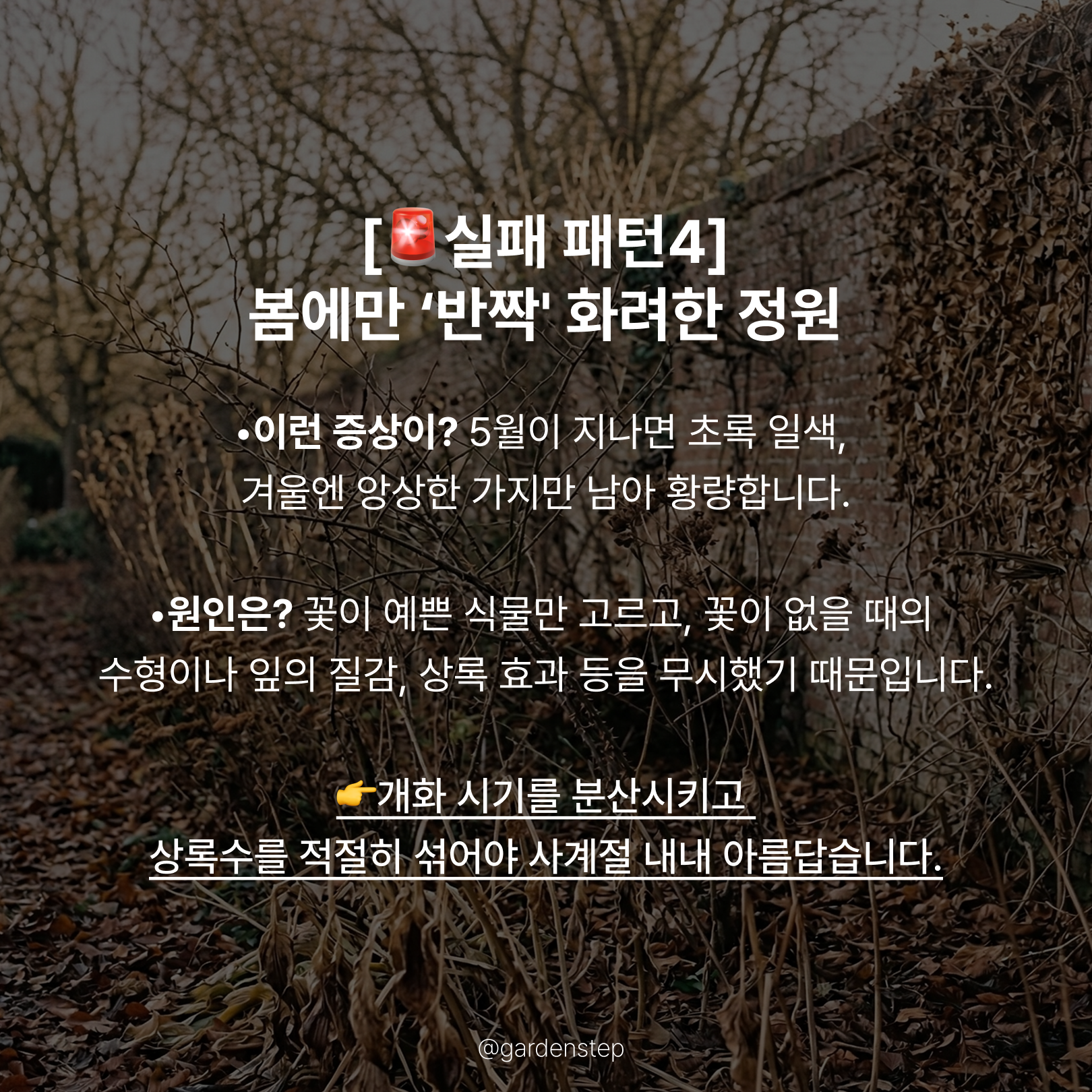 04.기초가 없는 정원의 실패 패턴b6.png
