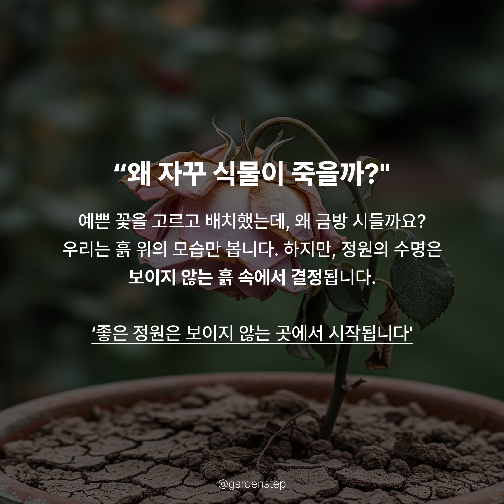 260224_정원이 망하지 않는 흙의 깊이b_2.png