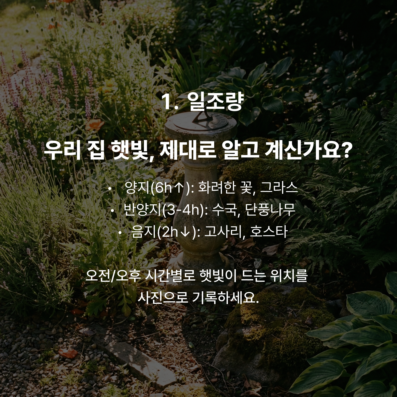 260204_실패없는 정원b_3.png