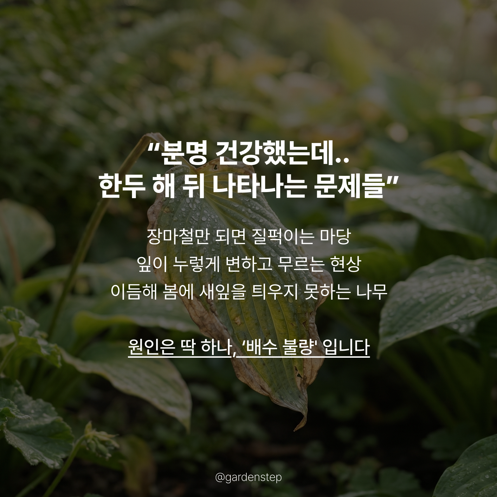 03.정원배수 성공의 법칙b_2.png
