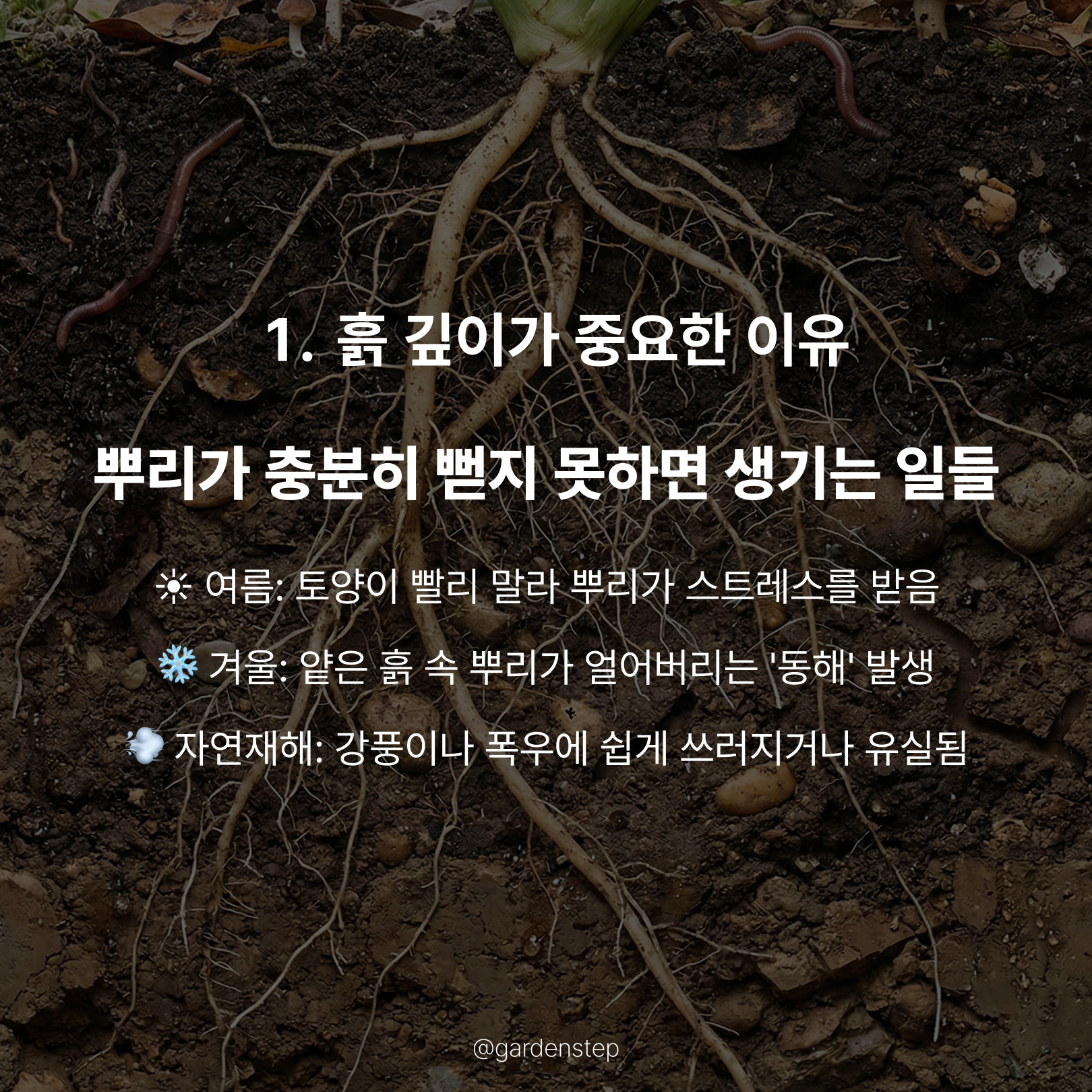 260224_정원이 망하지 않는 흙의 깊이b_3.png