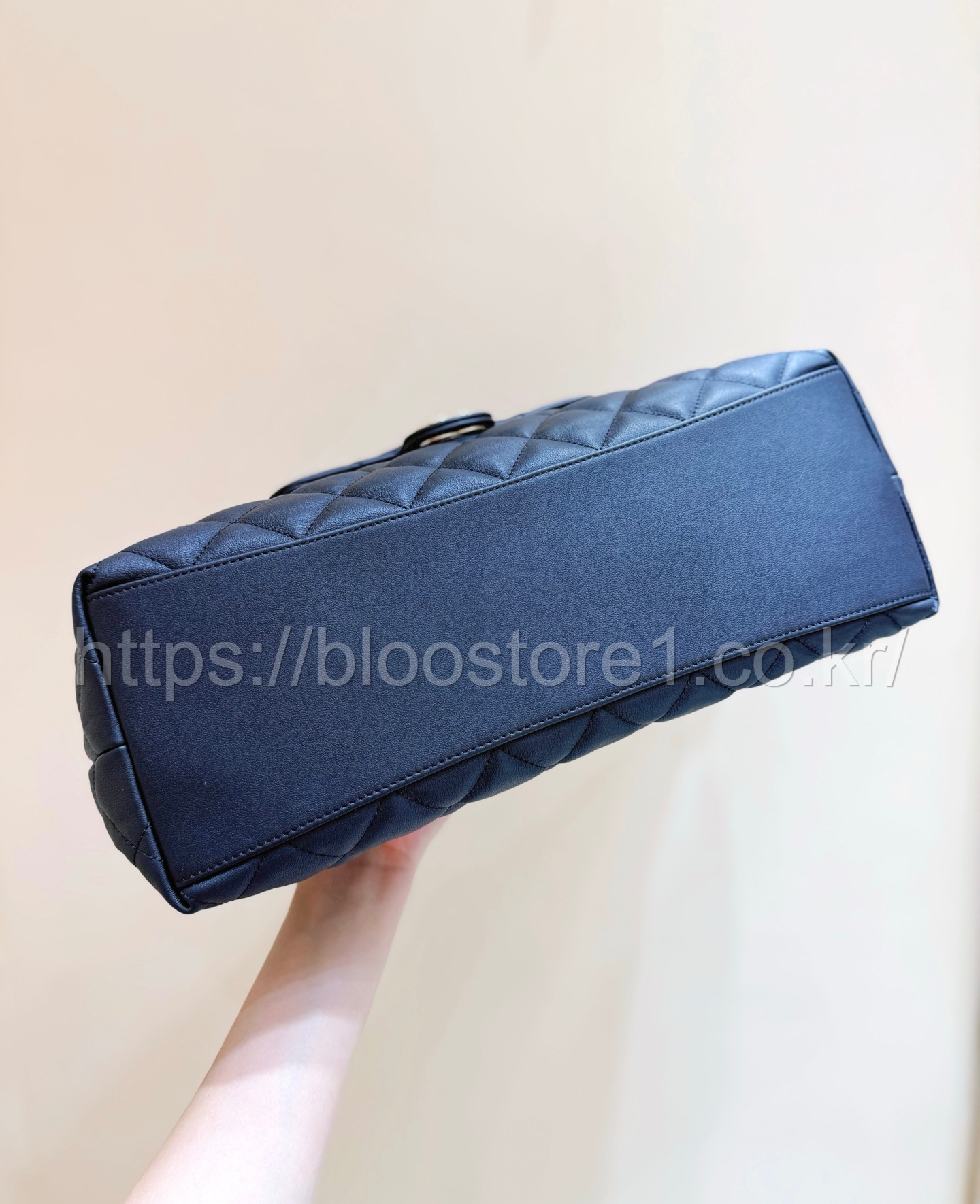 샤넬 맥시 포켓 호보 백