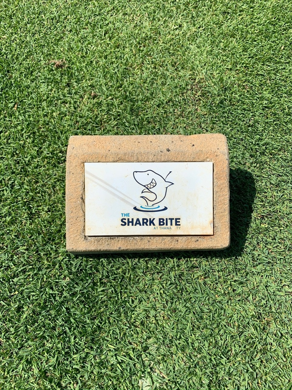 ์ฌ์ฉ์๊ฐ ์ฌ๋ฆฐ ์ด๋ฏธ์ง