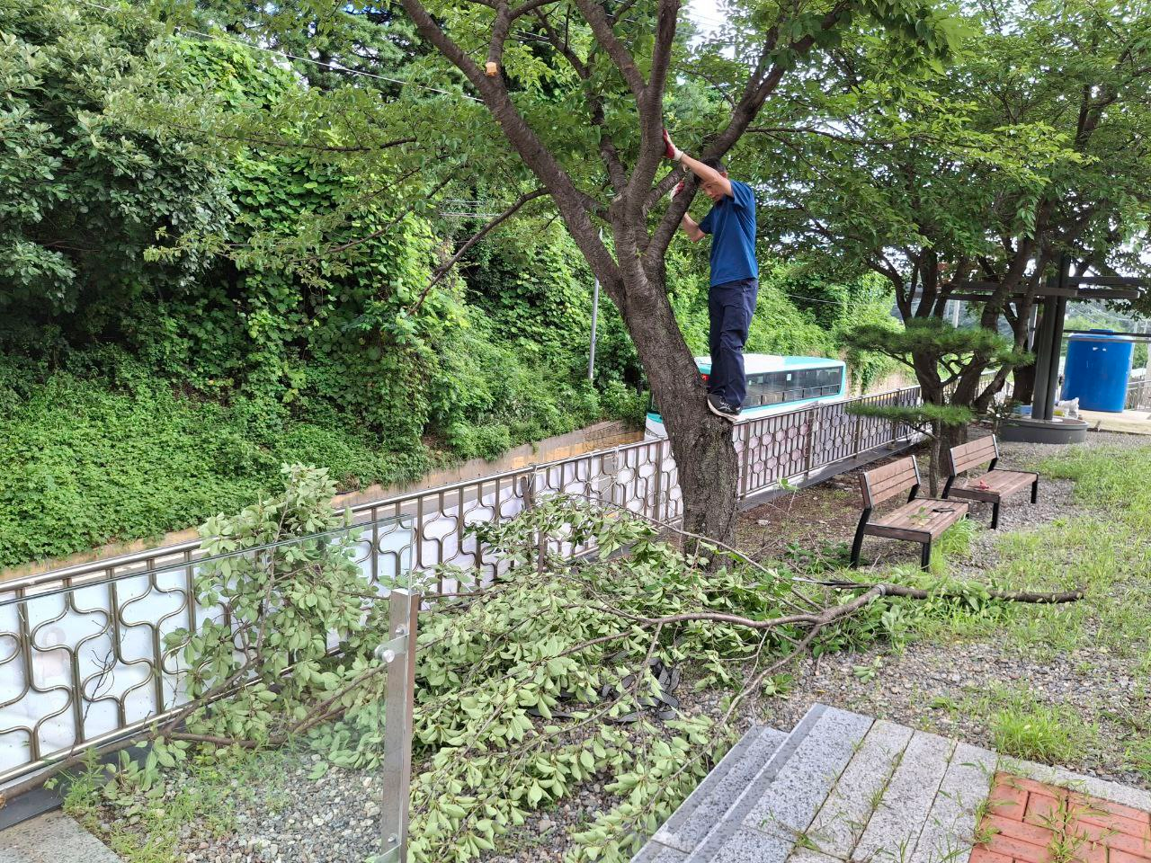 700d90b26abb8.png