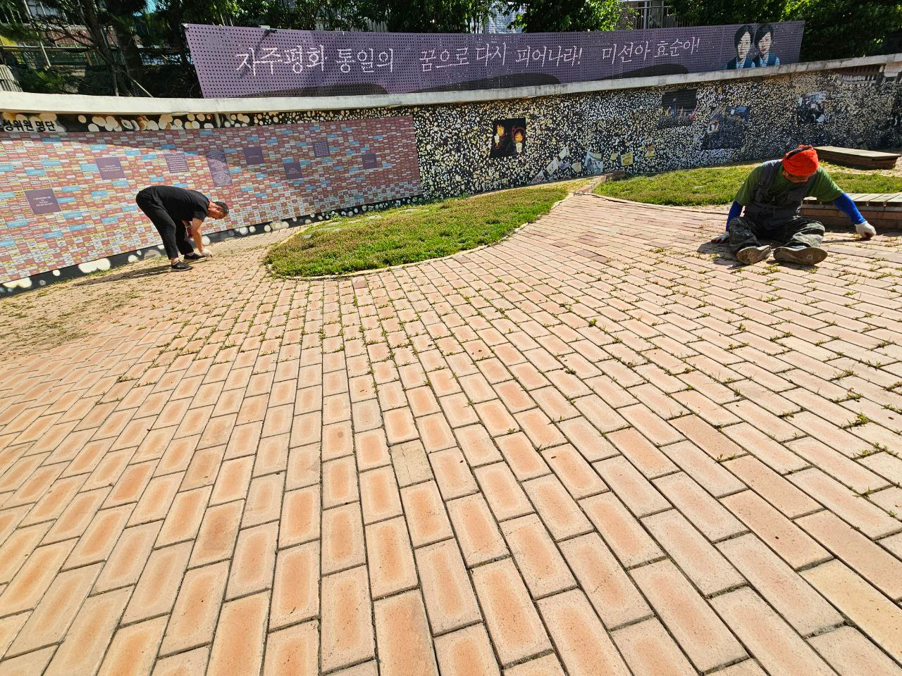 af8fac2034e1e.png