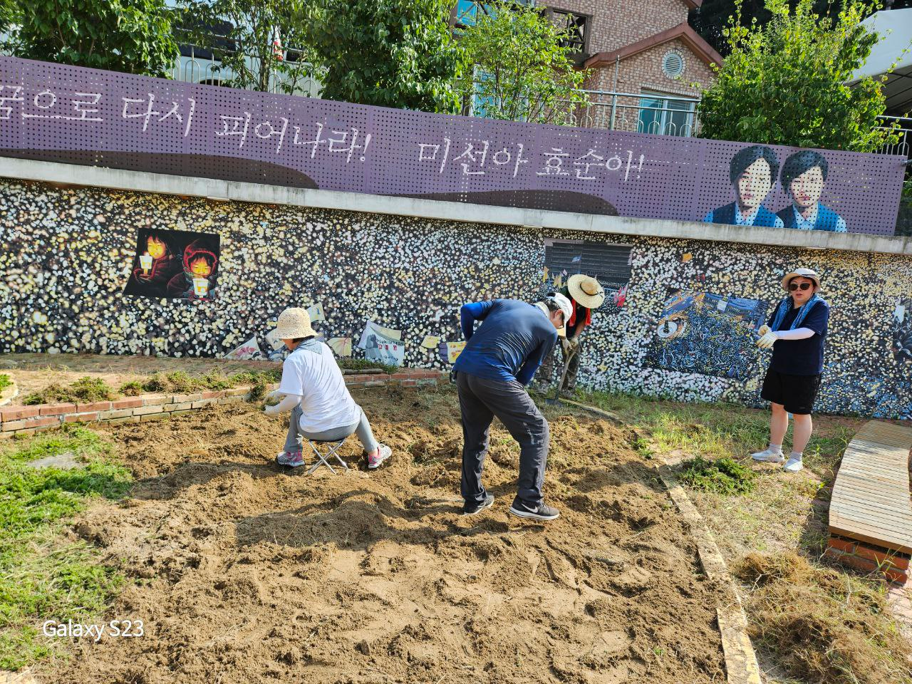 d572e08883cad.png