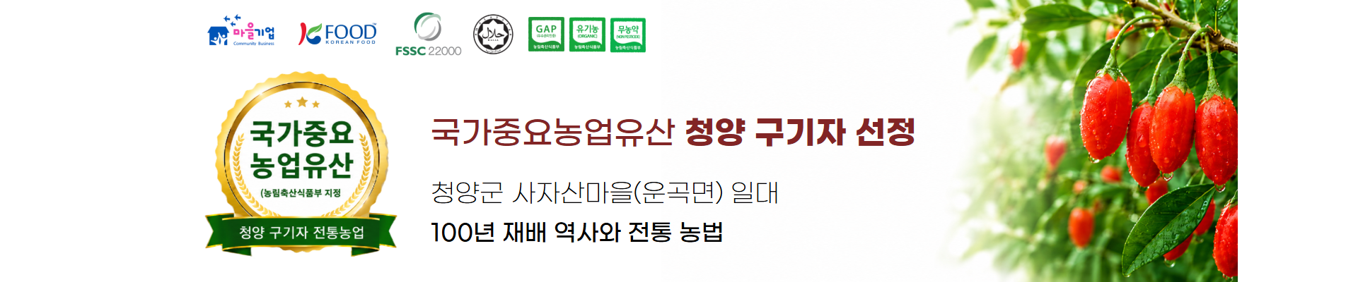 구기자 분말