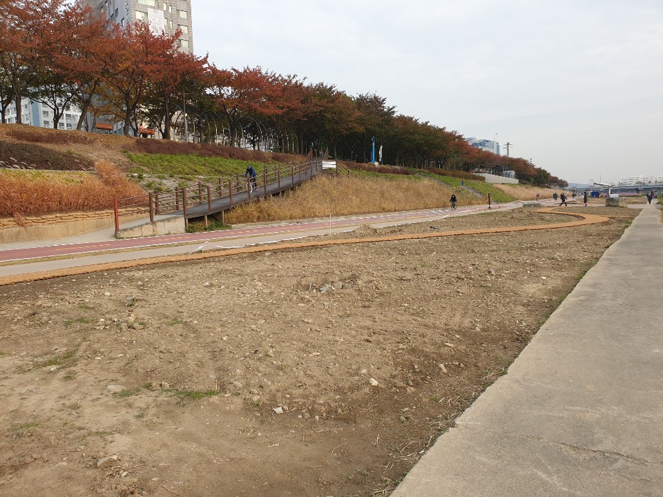 ae74a52ef94ee.jpg
