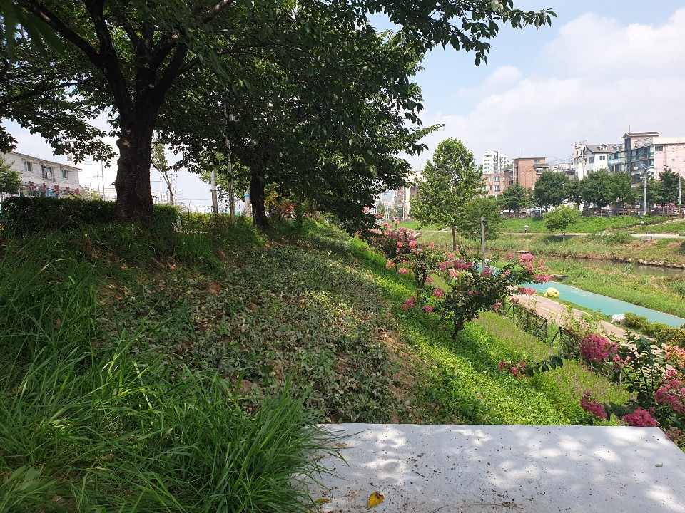 c8507370131ec.jpg
