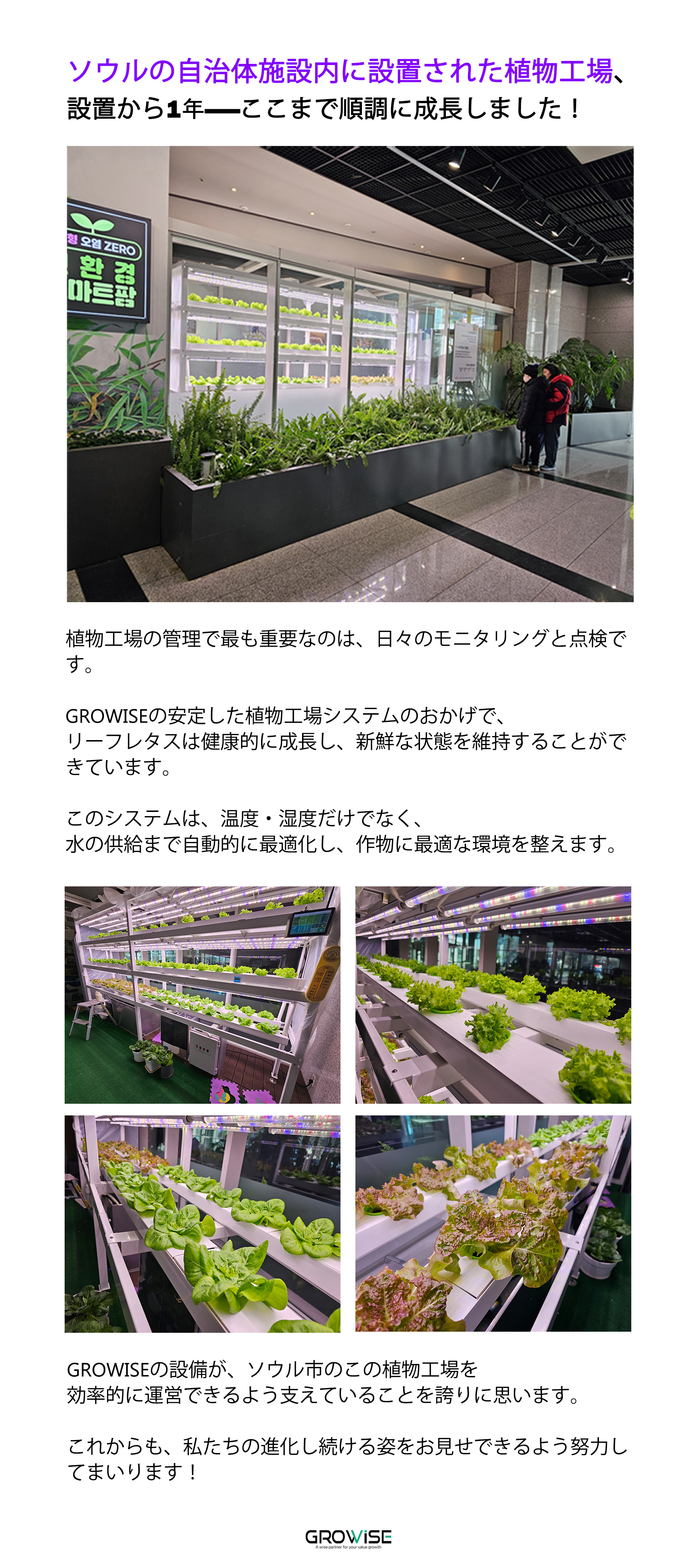 f52883f2a5d37.jpg