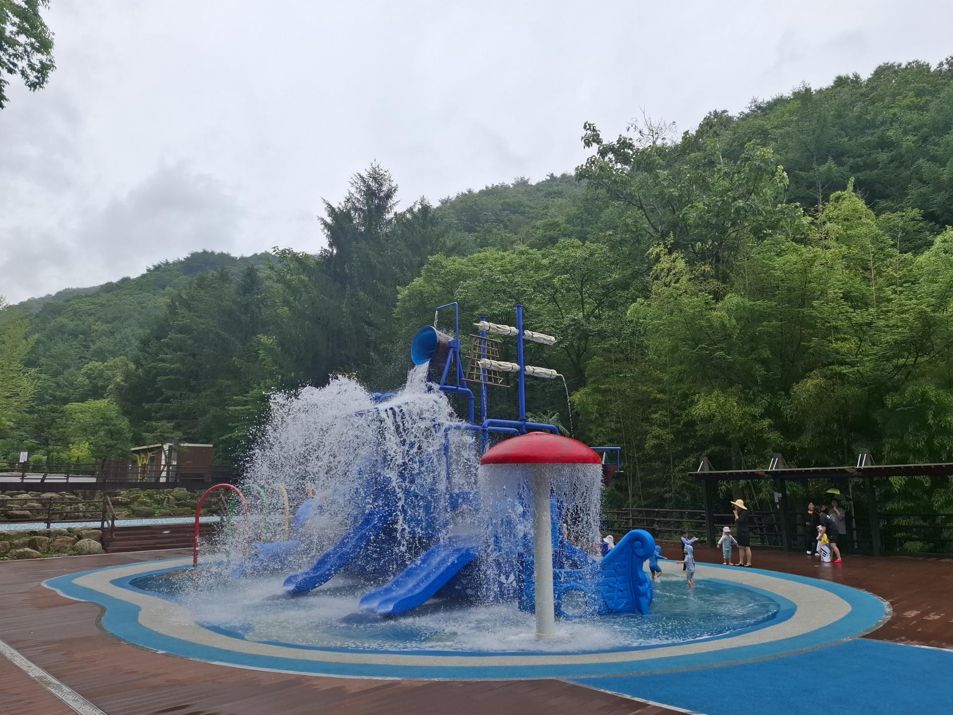 f3598440d917a.jpg