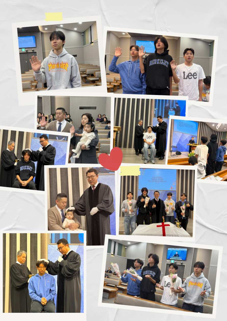 137376b1b27d7.png