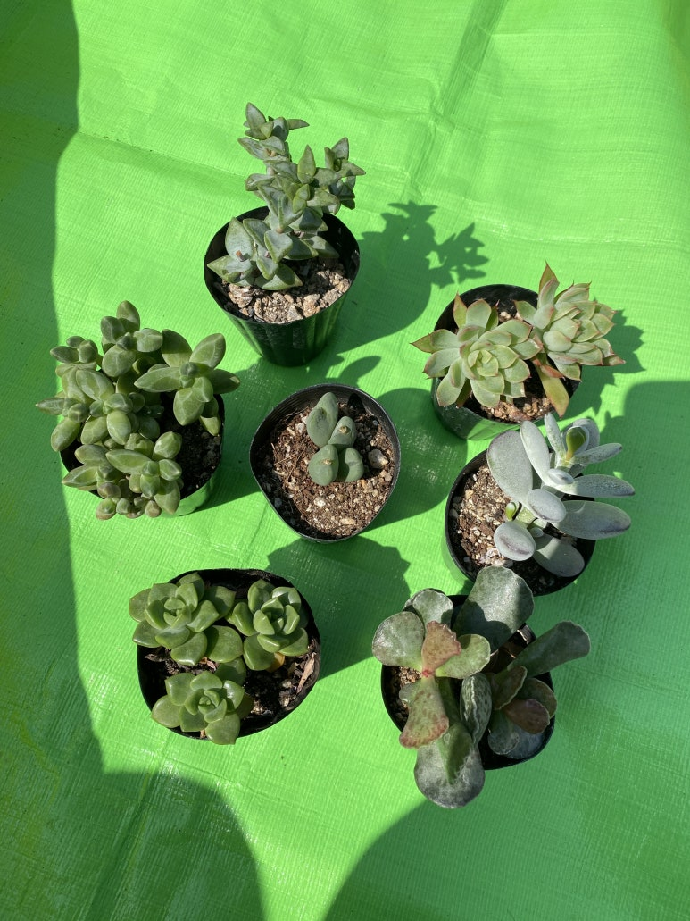 0675197f00cb7.png