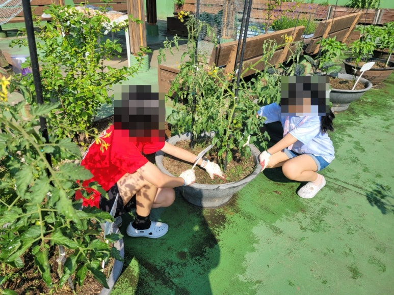 a12d256a0908f.png