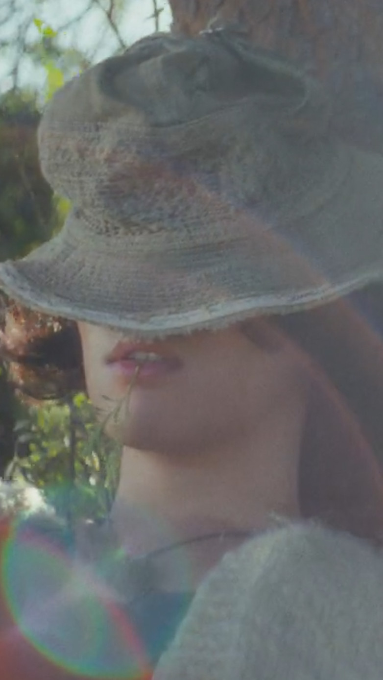 d1832af73ede9.jpeg