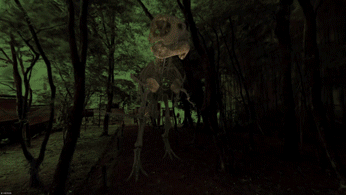 304ec143ab4ec.gif