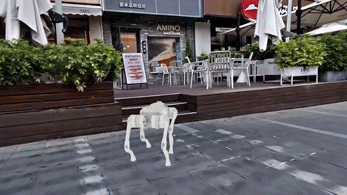 ca5824f1a0b4f.gif