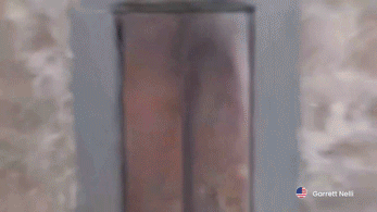 f8e12b42117da.gif