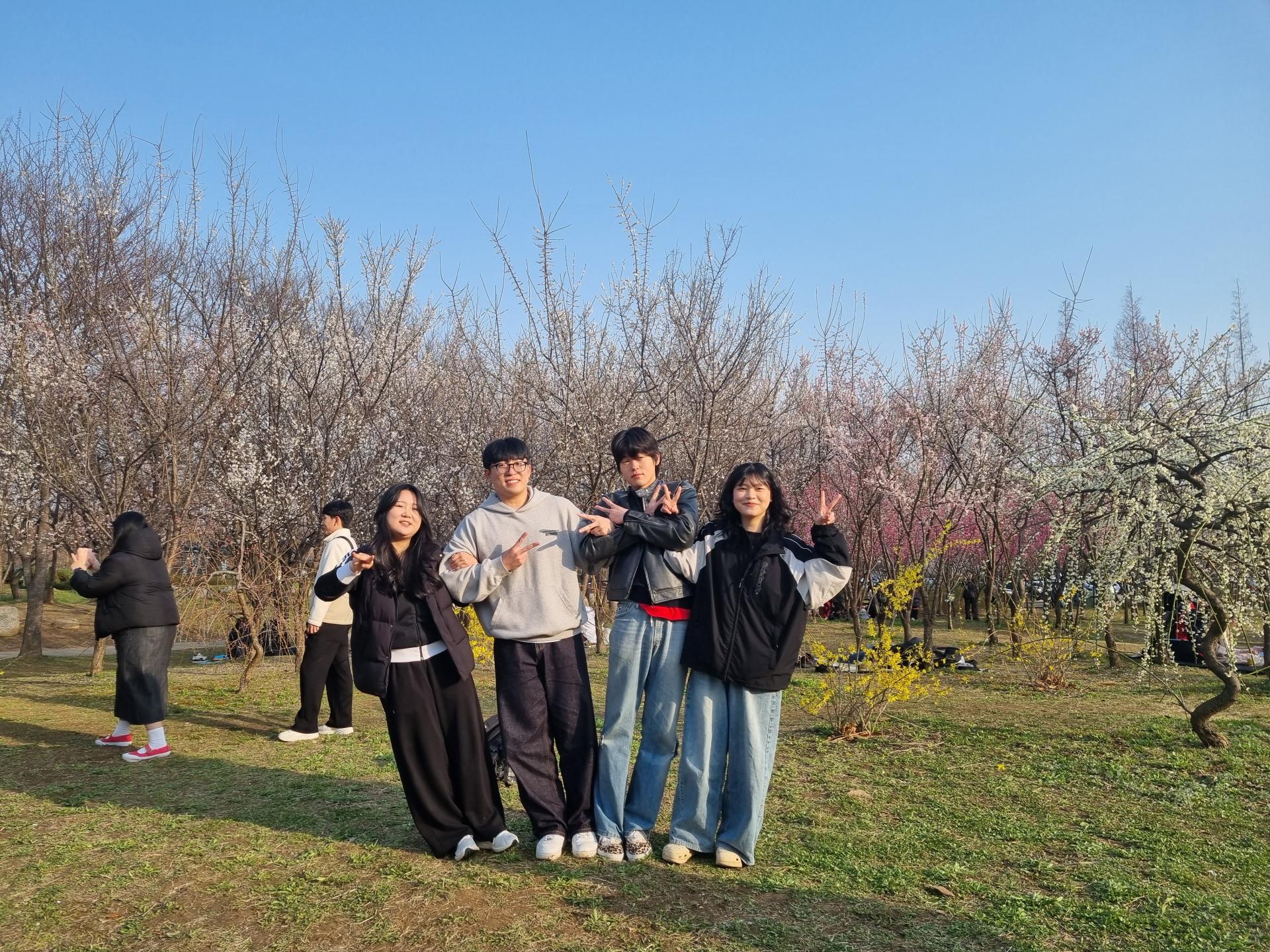 a853250f46617.jpg