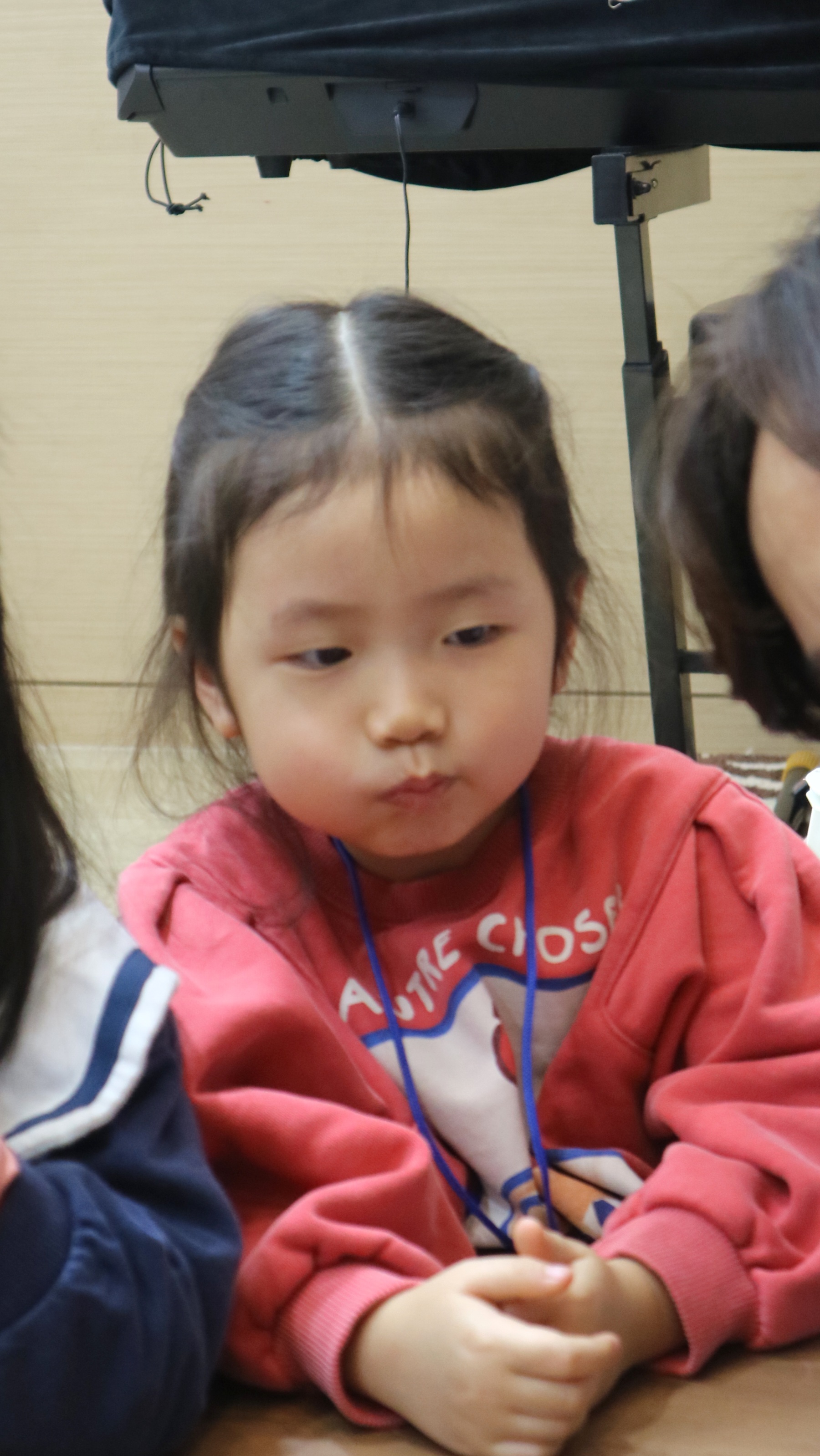156187098847c.jpg