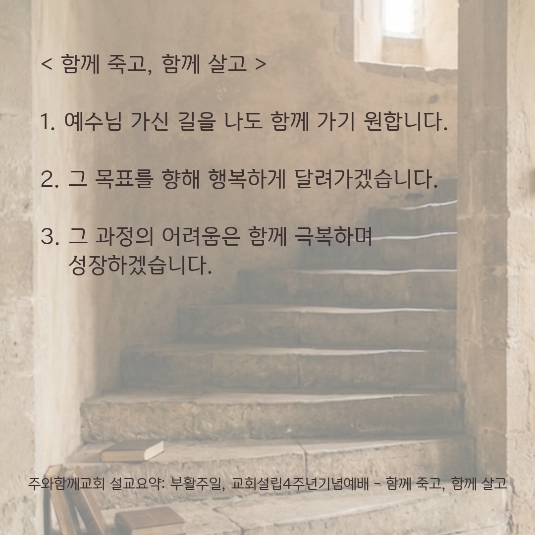 241c8114ff3cc.jpg