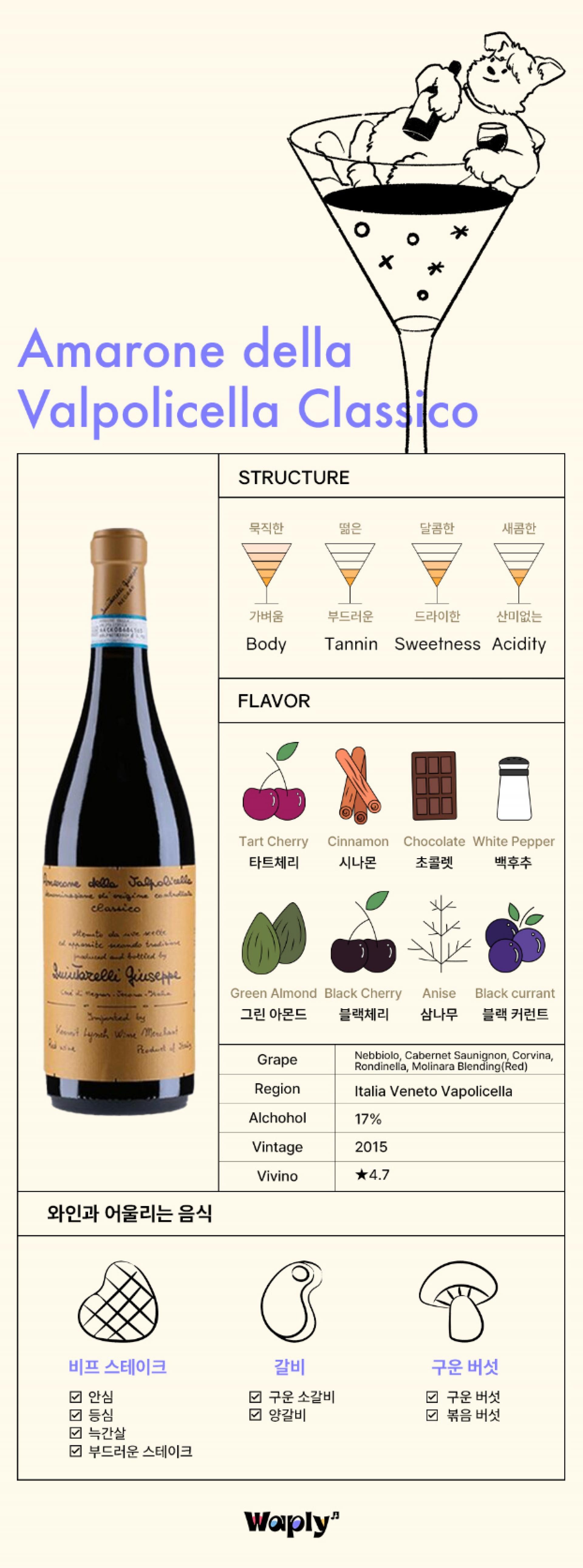 상단에 와인 잔 안에서 편안하게 누워 와인을 마시며 책을 읽고 있는 만화 곰 그림과 함께 'Amarone della Valpolicella Classico'라고 적힌 와인 인포그래픽입니다. 와인의 구조는 몸집, 탄닌, 단맛, 산성도를 시각적으로 나타내는 아이콘과 함께 표시되어 있으며, 모두 높은 수준을 나타내고 있습니다. 풍미 부분에는 타트 체리, 시나몬, 초콜릿, 흰 후추, 그린 아몬드, 블랙 체리, 아니스, 블랙 커런트의 이미지와 함께 그 특징을 나타내는 이름이 적혀 있습니다. 병 라벨에는 'Amarone della Valpolicella Classico'와 포도 종류인 'Nebbiolo, Cabernet Sauvignon, Corvina, Rondinella, Molinara Blending(Red)'가 기재되어 있습니다. 또한, 이탈리아 베네토 발폴리첼라 지역에서 생산된 것으로 알코올 도수는 17%, 빈티지는 2015년, Vivino 평점은 4.7로 명시되어 있습니다. 하단에는 비프 스테이크, 갈비, 구운 버섯과 어울리는 음식 아이콘과 체크 박스가 있으며, 'Waply' 로고가 맨 아래에 표시되어 있습니다.