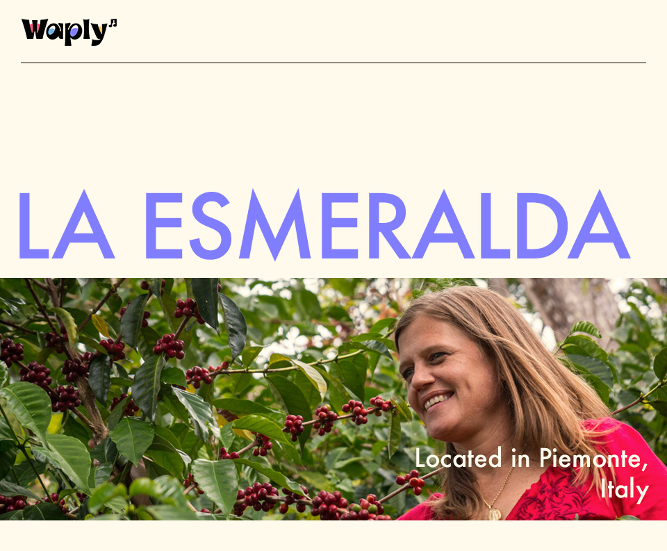 LA ESMERALDA 와이너리 홍보 이미지 - Waply 로고가 상단에 위치하고 중앙에 'LA ESMERALDA' 텍스트, 하단에는 이탈리아 피에몬테 지역의 포도밭을 배경으로 미소 짓고 있는 여성과 'Located in Piemonte, Italy' 문구가 있습니다.