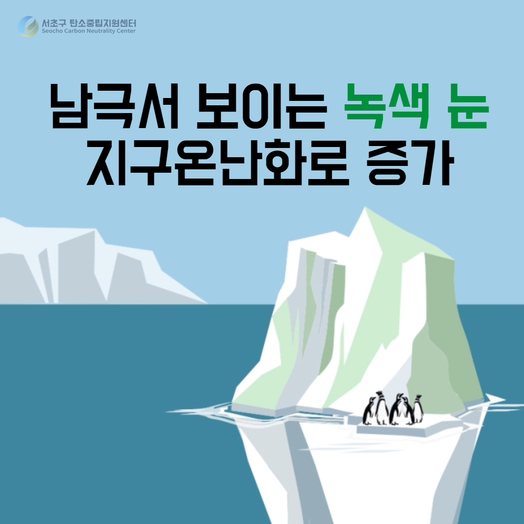 511de8c4dce05.jpg