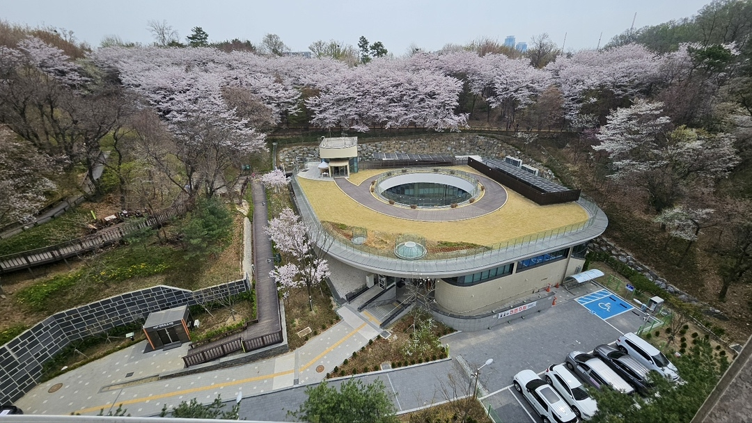 e6a06092d5ef9.png