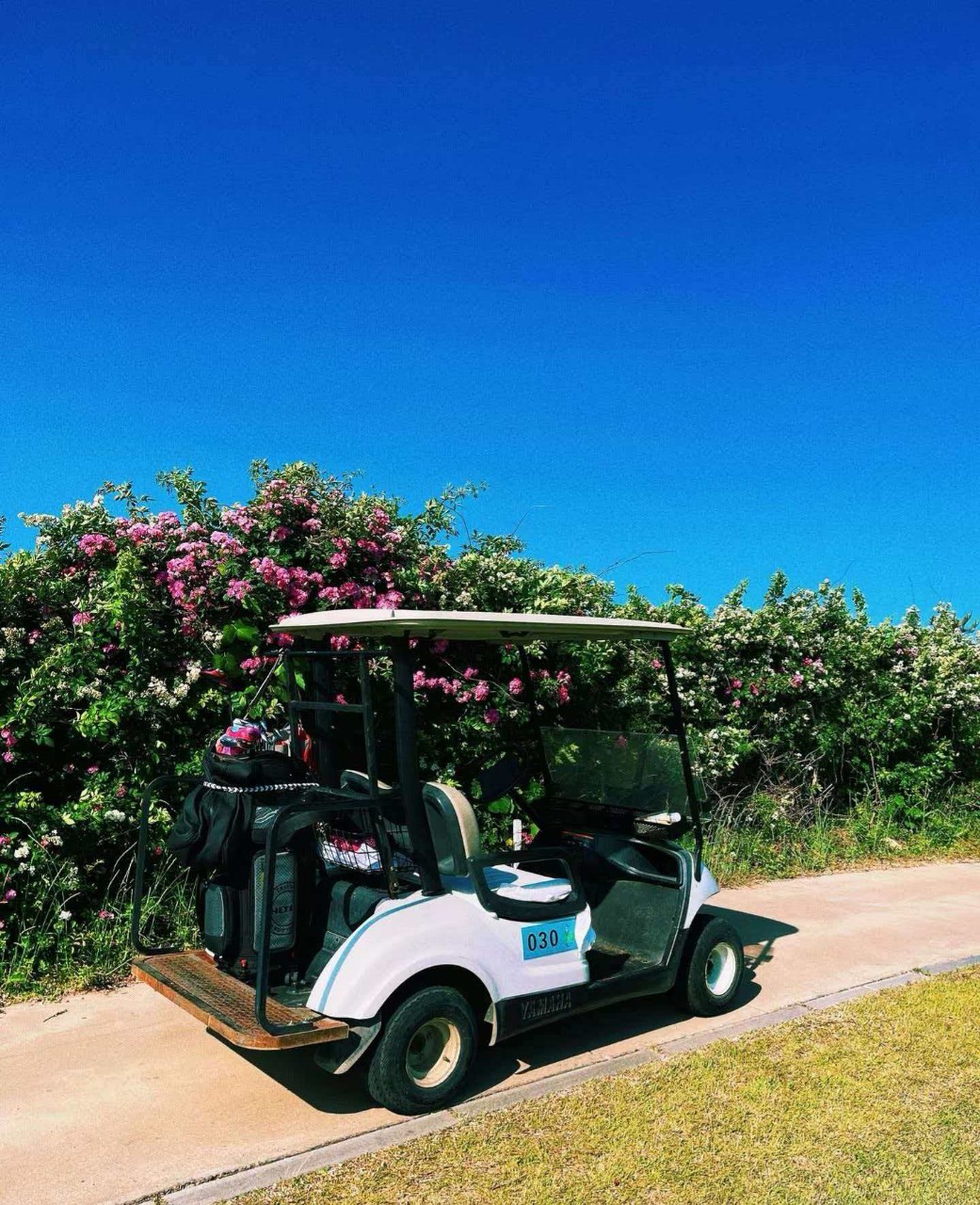 ⛳ 대련 장흥도 골프 3박 4일 72홀 특가