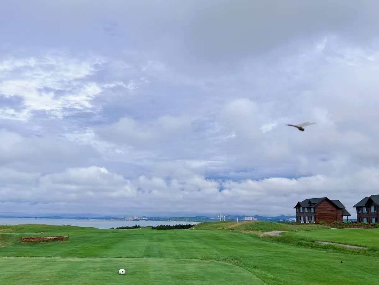 ⛳ 대련 장흥도 골프 3박 4일 72홀 특가