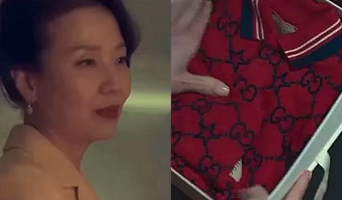인사이트