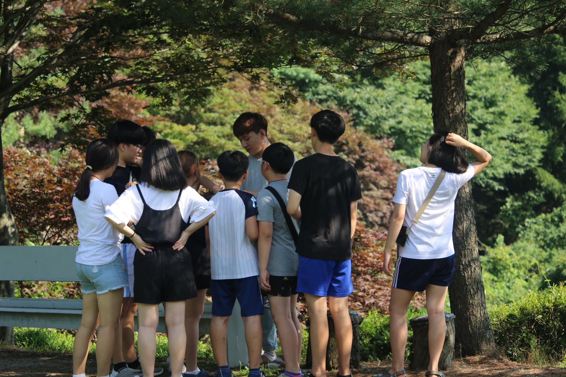 03d076caa5c4d.jpg