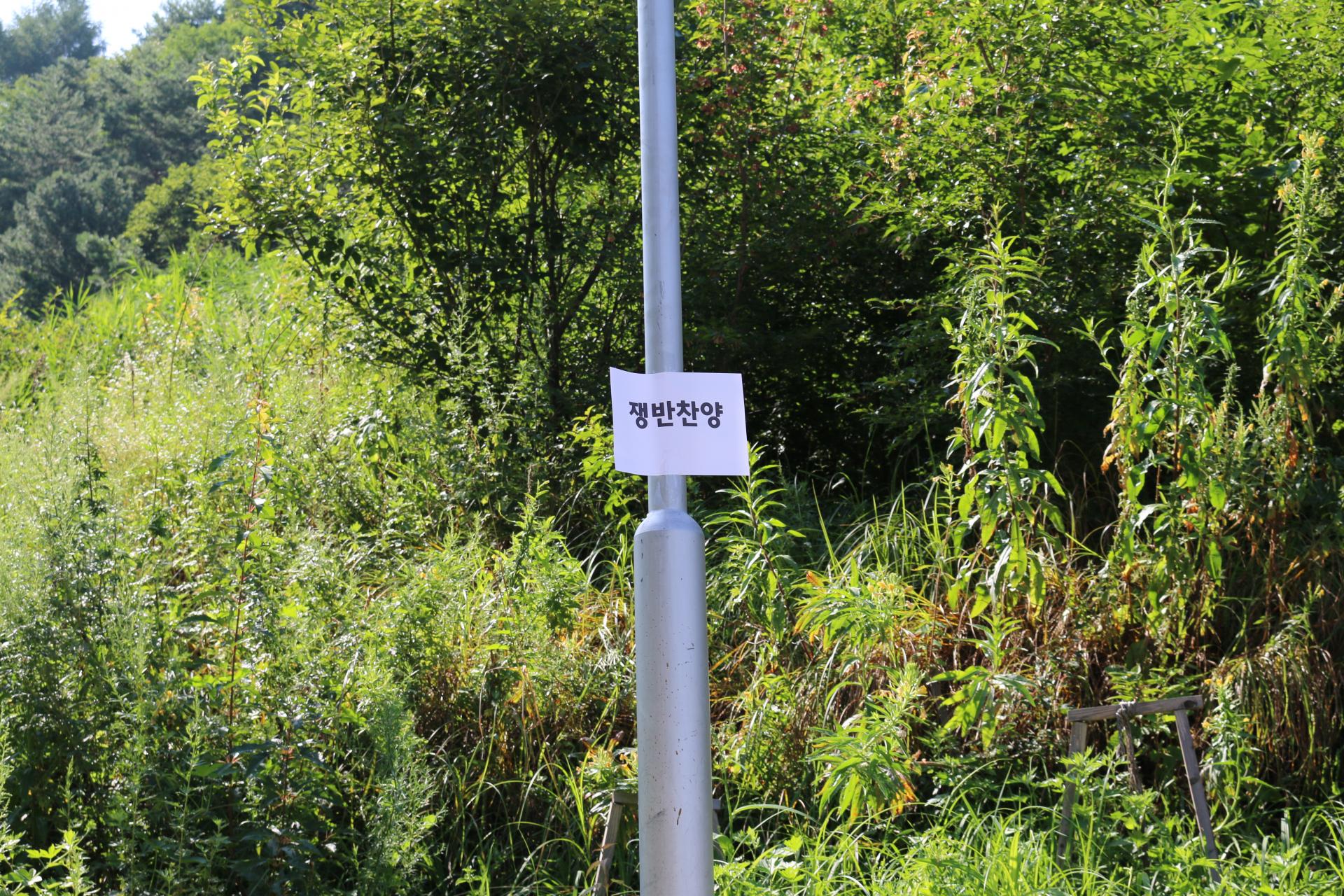 0d106df288097.jpg