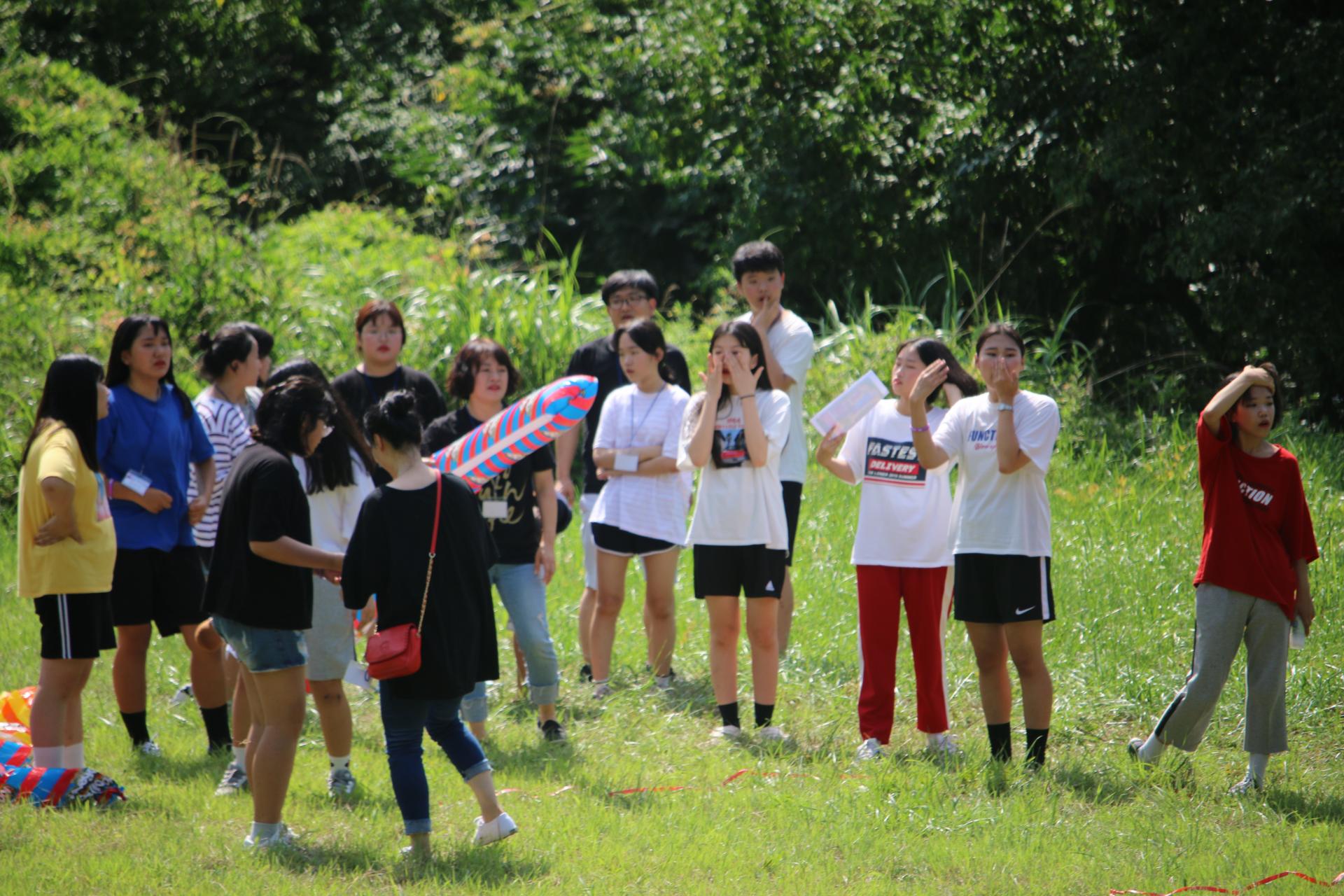 5d3f26698aaea.jpg