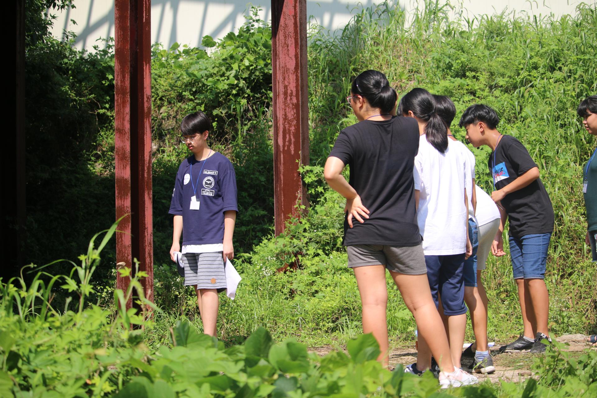 7510c90515b4f.jpg