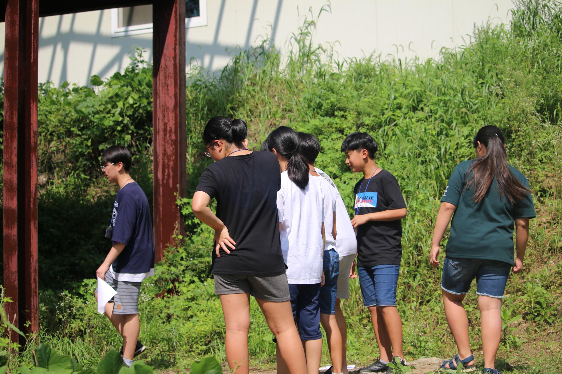 b3f3233ccf780.jpg