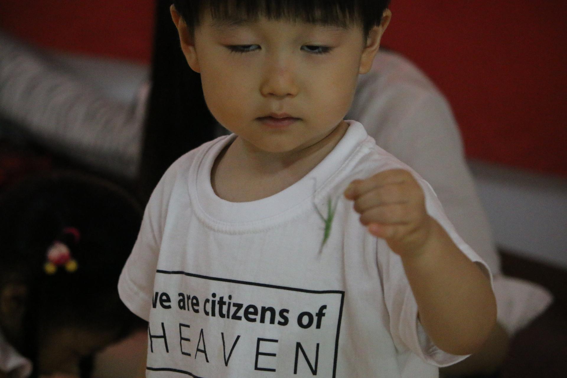 f78d2838542d3.jpg