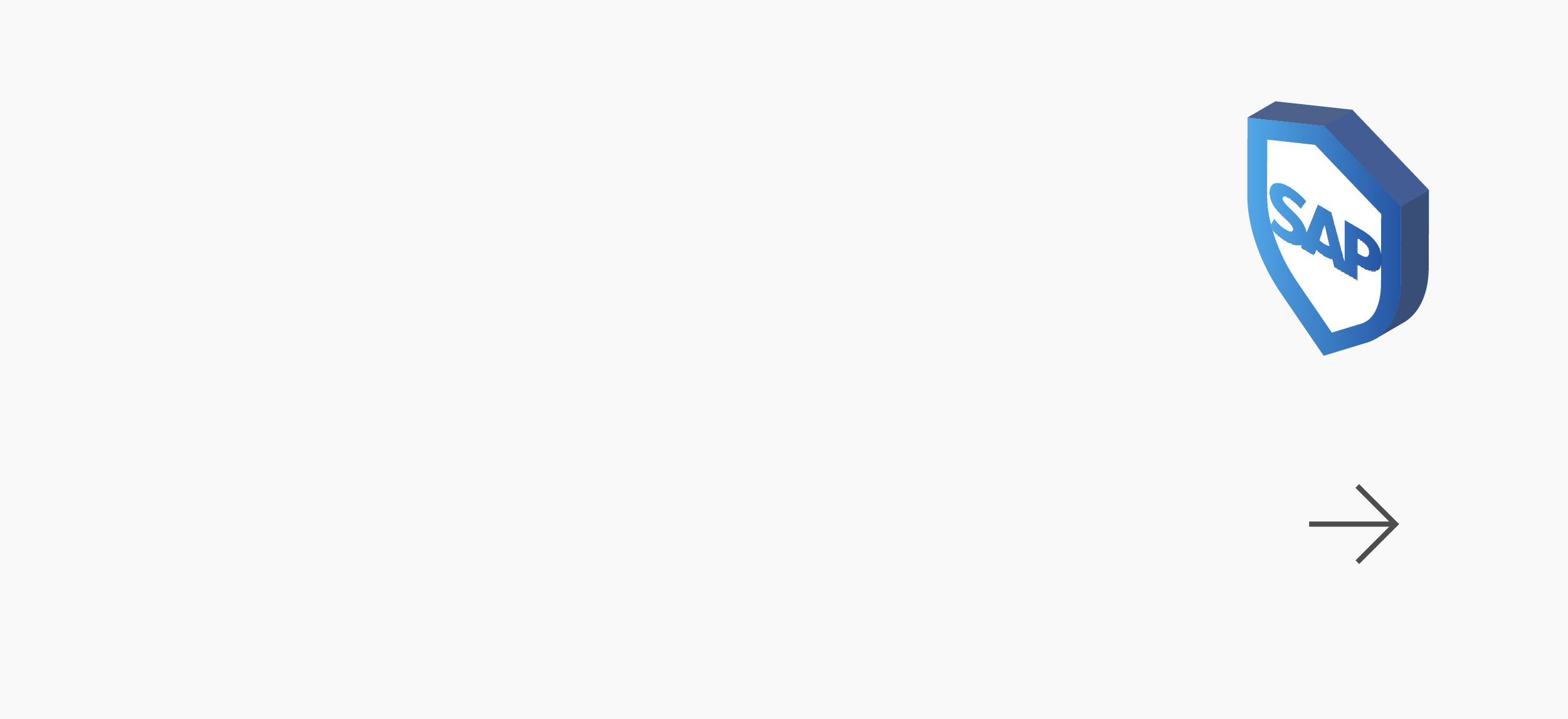 SAP 보안 솔루션 개인정보 보호 및 접근제어 서비스