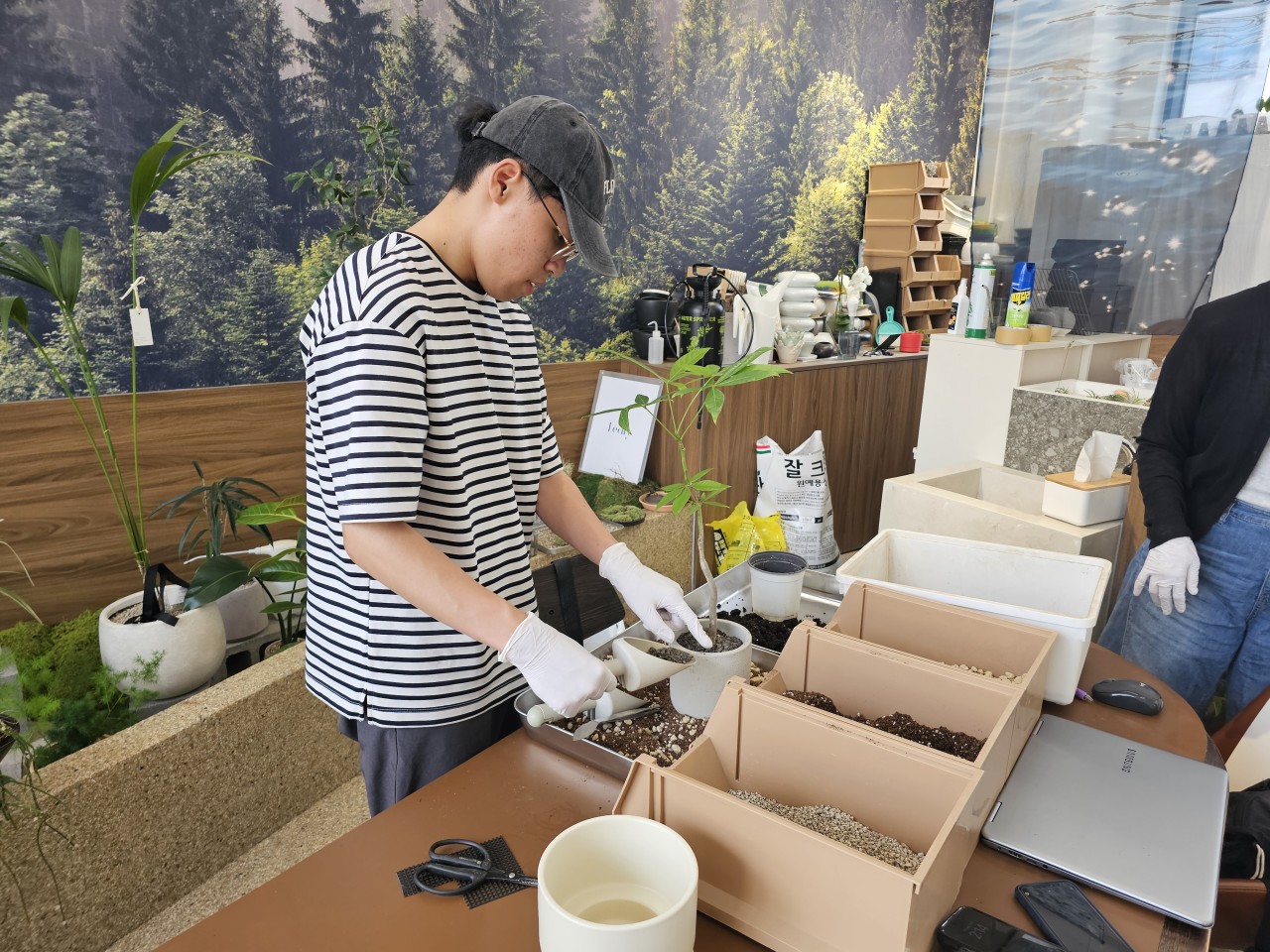 339c133c49613.jpg